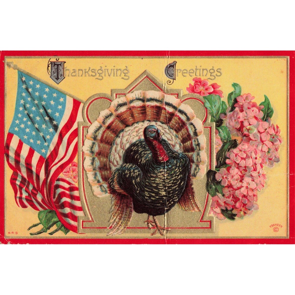 Vintage P. Sander Thanksgiving Greetings Postcard Turkey American Flag Embossed - Picture 1 of 2